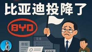 比亚迪认怂：账期压到60天，供应商的好日子真的来了吗？中国通缩越发顽固，却出现了新的风口！｜小翠时政财经 20250610#729