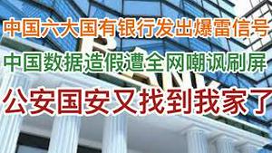 公安国安又找到我家了！中国六大国有银行发出暴雷预警！中国数据造假刷屏，遭全网网民嘲讽！耶伦要求中共政府增加中低收入者工资，为何遭国人唾骂？(20240417第1182期)