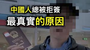 又辱那啥了……入境迪拜被拒！270万码农失业,年轻学子自嘲现代「孔乙己」.中国专家来自「德云社」？