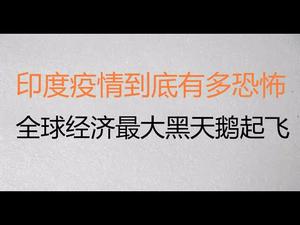 财经冷眼：全球经济最大黑天鹅已经起飞！（20210429第115期）