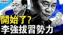 习提拔的何立峰被替换，李强开始拔钉子？医疗界大瓜不简单！董袭莹背景深厚，2大人物讲情，肖飞董袭莹任性【新闻看点 李沐阳4.29】