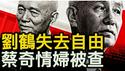 刘鹤之子被抓，习发小要出事？蔡奇有麻烦了？情妇被查落马？胡德华死因蹊跷？胡习樑子加深？台湾上空的怪圈，中共暗中做手脚？【新闻看点 李沐阳4.7】
