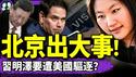 藏身美国被揪出，习明泽将遭驱逐？挺习哈佛女孩官二代身份曝光！中共误用四名FBI线人当打手，惨了！卢比奥取消中国留学生签证，蒋雨融助攻！（老北京茶馆/第1371集/2025/05/31）
