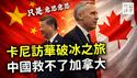 中国电动车来了！加拿大总理卡尼访华，华人回国免签，降低农产品关税，中加关系缓和只是意思意思？台湾与美国签署贸易协议，才是加拿大的榜样！
