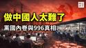 中国韭菜的悲惨一生！党国牛马的996和狼性文化真相，中国人吃苦耐劳不是好事？