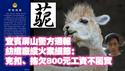 宜宾屏山警方通报纺织厂纵火案细节：克扣、拖欠800元工资不属实。我只想说：草泥马。2025.05.23NO2704#800哥#四川屏山县