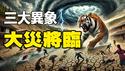 🔥🔥三大异象❗深山猛虎进村伤人 中国被死气笼罩❗长江已死 再度枯竭断流 大灾将临❗沿海地区二次海水倒灌❗