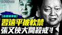 习仲勋纪念馆改名，习远平消失！虎蛇相害，习近平注定被他收！｜薇羽看世间【直播精华版】 20250529