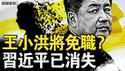 何卫东没死？王小洪将被免职？习近平诡异消失，丁薛祥亮明身份？赖清德狂踩红线，中共认怂装孙子【新闻看点 李沐阳6.23】