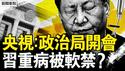 央视确认！政治局开会了；被软禁习接连发病？四中全会要来了；呼吁军队国家化，刘源要革中共命？【新闻看点 李沐阳6.11】
