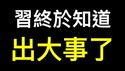 习近平「开悟」，政治局开会❗️❗️❗️上海要发消费券、贫困户发现金……