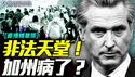 为何加州是非法移民的最爱？｜薇羽看世间【直播精华版】 20250611