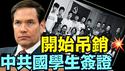 卢比奥突袭：与中共相关（党团员）或关键部门！50%常春藤学生（05 28 25）#川普 #特朗普 #trump #马斯克 #elonmusk #互惠关税  #china #chinese #tarif