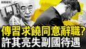 川施小计与习通话，新华社诡异到家；传习同意辞职，向元老求饶？元老承诺不清算？许其亮失副国级；中共明年侵略？台湾需要一柄利剑【新闻看点 李沐阳6.5】