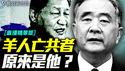 汪洋上位换下习近平？他是羊年生灭共人吗？｜薇羽看世间【直播精华版】 20250610