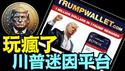 官宣与川普本人和政治无关！造福粉丝 ⋯ 财富大转移？（06 03 25）#川普 #特朗普 #trump #马斯克 #elonmusk #互惠关税  #china #chinese #tarif