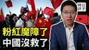 澳洲华人抱怨四岁儿子不爱党国，中国家长举报中日交流项目！新疆明星古力娜扎拍照被批政治不正确，武汉作家评论毛泽东诗词遭网暴！