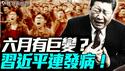 习近平接连发病，撑不到六月底？美中谈判促中国开放！温家宝诗作透玄机。｜薇羽看世间 20250611