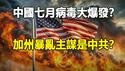 🔥🔥失控了 中国七月将进入大爆发❓中共留学生放毒美国❗加州暴乱主谋是中共❓