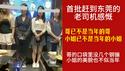 首批赶到东莞的老司机感慨：哥已不是当年的哥，小姐已不是当年的小姐。哥的口袋里没几个钢镚，小姐的美貌也不似当年。2025.07.21NO2798