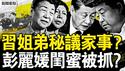 习调研秘议家事？彭丽媛闺蜜被抓？德州溺亡将过百，倖存者忆惊魂瞬间；强阵风力16级，台风过后需谨慎；高温炙烤鸟热死，室温超过40度【新闻看点 李沐阳7.7】