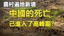 🔥🔥大陆博主爆料:150公里国道17家办丧事❗遍地新坟 各地正在大量死人❗