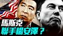 警惕！马斯克和杨安泽合体？马斯克组建美国党，会不会成为第二个「台湾的民众党」？｜薇羽看世间 20250707