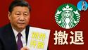 中国市场将对美全面开放？川普瞎忽悠，星巴克都要逃离中国了。｜小翠时政财经 20250206#570