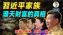 习近平家族泼天财富知多少？真相和想像力的天花板，哪个先到？（文昭谈古论今20260204第1659期）