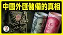 中国外汇储备的真相！货币战争其实已开始、而且相当激烈，只是不是你想的那样...【精剪版20250704第1577期】