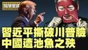 川普一怒祭出EDA 禁令锁喉习共；中国留学生将被全数踢出美国，正是遭中共池鱼之殃。【每日直播精华｜天亮时分】05302025