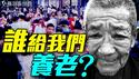 魔幻中国养老政策！年轻人躺平拒缴养老金，中国人老了谁来养？｜薇羽看世间 20250513